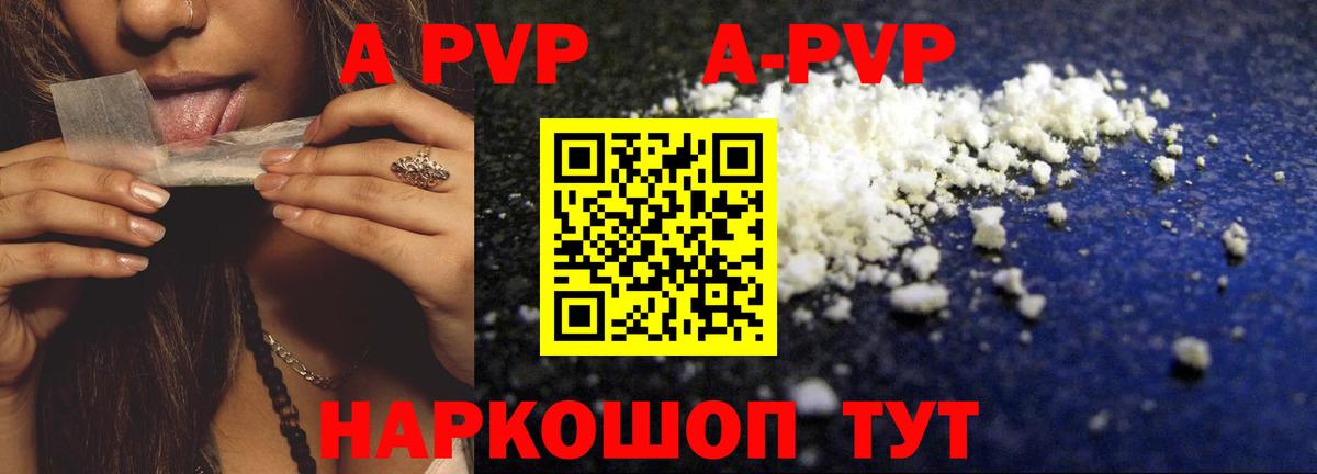 Alfa_PVP крисы CK Майкоп
