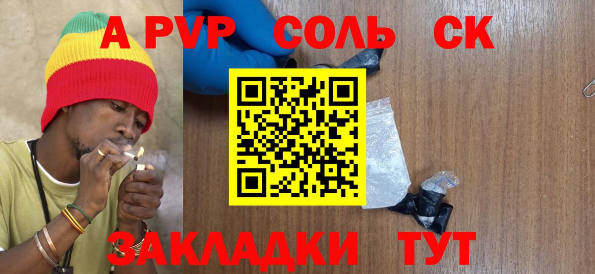 Alfa_PVP СК КРИС Майкоп