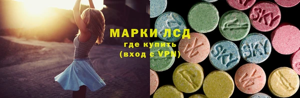 индика Тутаев