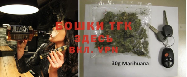 гидра Туринск