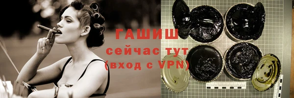 гидра Туринск