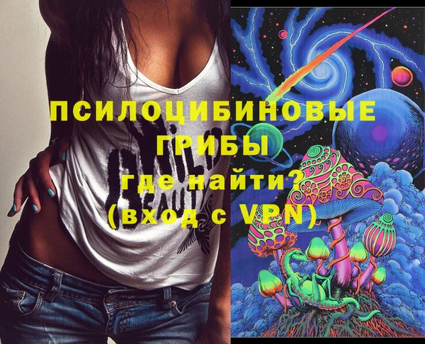 индика Тутаев