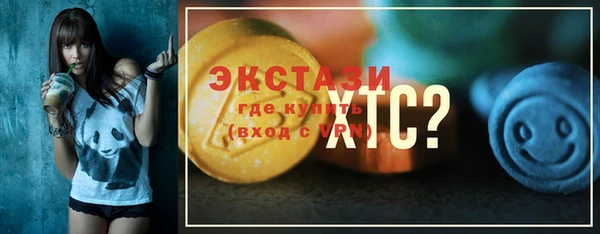 гидра Туринск