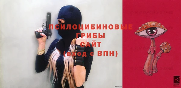 гидра Туринск