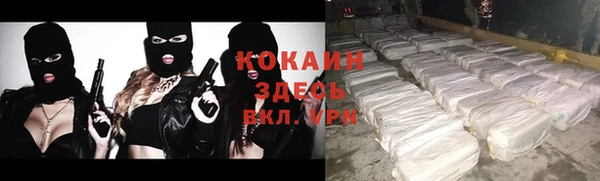 гидра Туринск