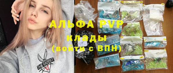 индика Тутаев