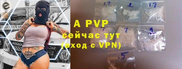 гидра Туринск