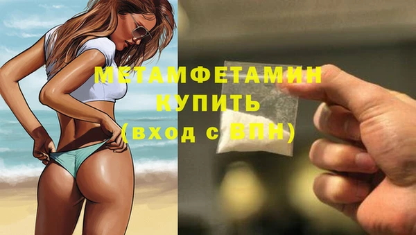 гидра Туринск