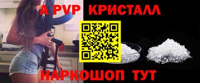 прущие крисы Гай