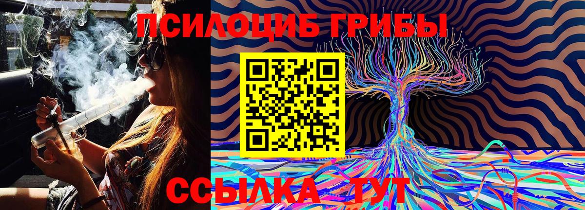Майкоп  купить закладку  Вход с VPN  Псилоцибиновые грибы Cubensis  Галлюциногенные грибы Psilocybe 