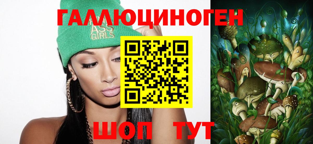 Псилоцибиновые грибы Psilocybe Майкоп
