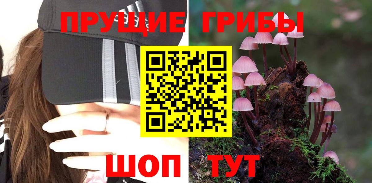 Галлюциногенные грибы ЛСД  Псилоцибиновые грибы Psilocybine cubensis  Майкоп 