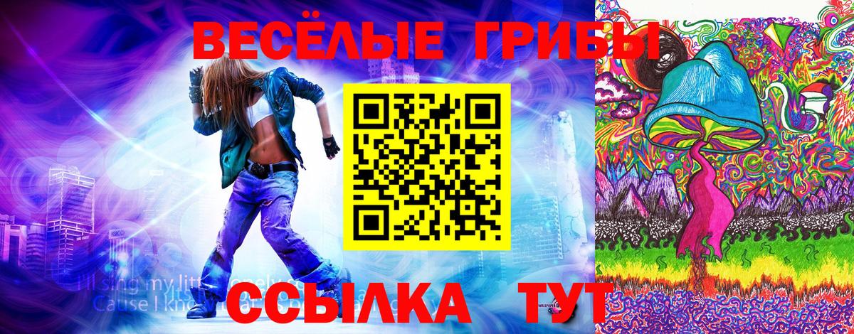 Псилоцибиновые грибы ЛСД Майкоп